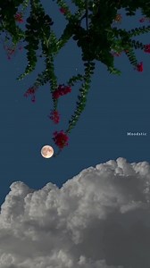 15K views · 1.1K reactions | Feel this✨ | RC PLANE GUYS | Facebook