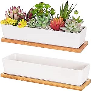 White Succulent Planter Pots,11 inch Long Rectangle Ceramic Plant Container with Bamboo Saucers and Drainage Holes,Mini Flower Cactus Pot Indoor Outdoor Home Garden Kitchen Decor,2 Pack