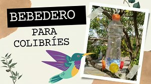 "Cómo Hacer un Bebedero para Colibríes con Material Reciclable 🌸🐦 DIY" ¡Te presentamos un divertido proyecto DIY para amantes de la naturaleza! En este video, aprenderás cómo crear un bebedero adorable para colibríes utilizando materiales reciclables que seguramente tienes en casa. Este tutorial te guiará a través de los pasos para hacer este refugio especial para colibríes en tu jardín. Atrae a estas hermosas aves y cuida de la vida silvestre mientras te diviertes con este proyecto sostenible