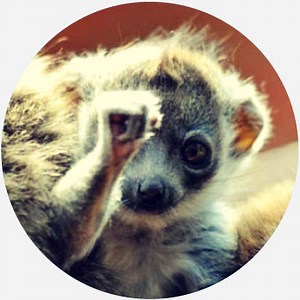 zero fucks Meaning & Origin | Slang by Dictionary.com