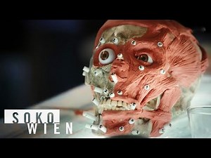 ᴴᴰ SOKO Wien Staffel 13 Folge 4 - Familie Schweiger