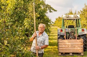 Erntezeit - Äpfel, Pfirsiche, Birnen.... Wo würden Sie gerne reinbeißen? | Der Steirerhof