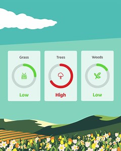 Why should #pollen pause your plans? Check #PollenPal to get hyper-local forecasts and stay ahead of your #hayfever. | Kleenex