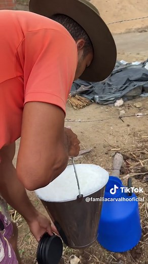 Rotina de ordenha de vaca: Tirando leite na mão