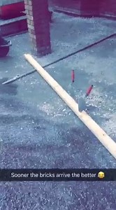 #Skills 💪 | The Tradesman