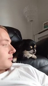 ตัวแสบ!! | รักนะสัตว์โลก