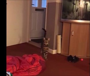 Boom Boom! Let me hear you say wayo! :) | Mix102.3