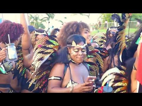 2019 Miami Caribbean Carnival Was Hot