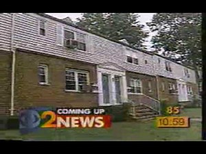 WCBS 1995 Noon Tease