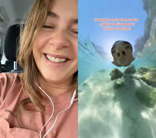 1.5M views · 10K reactions | #duet with @Seb Laz #holiday BEST THING IVE SEEN ALL WEEK!! ✌ | Shameless Elle | Facebook