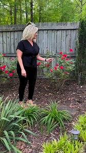 2.3K views · 51 reactions | See you tonight PRAISE COMMUNITY! | Praise Community Church | Facebook