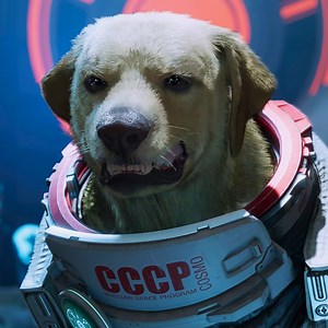 24 reactions | The Guardians Save Cosmo The Spacedog | EX | Facebook