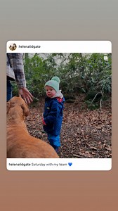 Tractor Ted on Reels