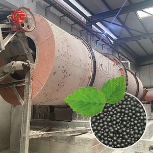 [Hot Item] Powder Humic Acid Ammonium Nitrate Compost Fertilizer Granules Production Equipment Line