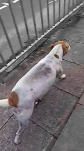 Ashani de Silva on Reels