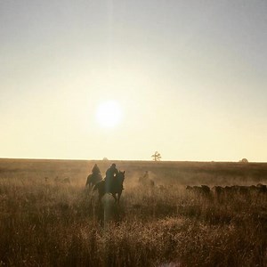 317K views · 19K reactions | Peaceful? Yes. Quiet? No.  | The Pioneer Woman - Ree Drummond | Facebook