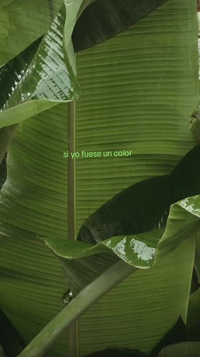 Si yo fuese un color: Slytherin, verde, Mágico