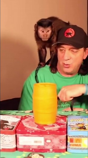14K views · 627 reactions | Monkey foraging challenge #monkey #foraging #fun #snacks | MonkeyBoo | Facebook