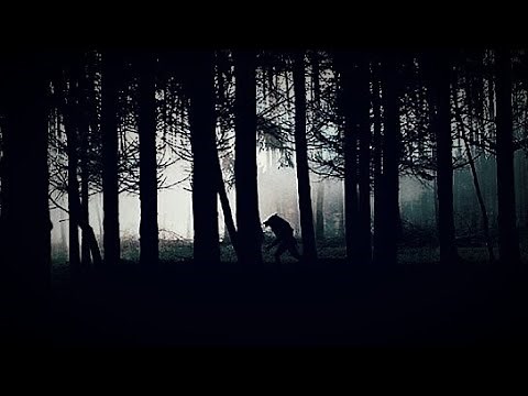 Pregnant by a Werewolf {Short Horror Film Concept}