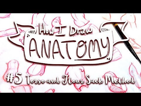 How I Draw ANATOMY #5: The Torso and Flour Sack Method - MissKerrieJ -