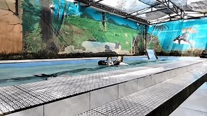 Central Lombok, Indonésia, 15 de junho: vídeo stock (100% livre de direitos) 3821319521 | Shutterstock