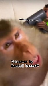 10K views · 186 reactions | “Get Out My Room!” ️郎酪 #lifewithkids #toofunny #voiceoverbykendallbennett | Kendall Bennett | Facebook