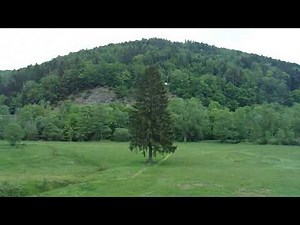 France - Bas-Rhin - Haute Vallée de la Bruche - Viaduc de Fouday - 15 mai 2020