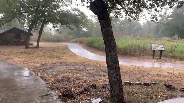 🌧️ Rain, glorious rain! Can you smell this video? 💧 🌱 Ahh, the sharp scent of rain on hot asphalt, soil and vegetation is such a welcomed smell! 👃 Petrichor is the name for that unique earthy smell associated with the first rain after a long period of warm and dry weather. | Bastrop State Park - Texas Parks and Wildlife