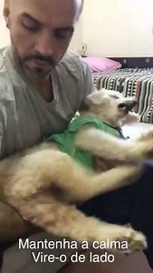 1.2M views · 19K shares | Nosso Chiquinho quase se foi no dia do seu...