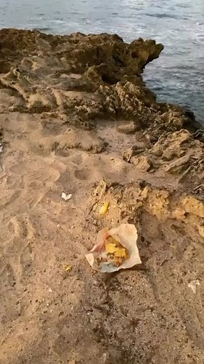 6.5K views · 54 reactions | Good morning from castle point. Another night where people came and just left their trash. Time for trail cams. Put these people on blast. So easy to pack out trash rather than leave it. | My Kailua | Facebook
