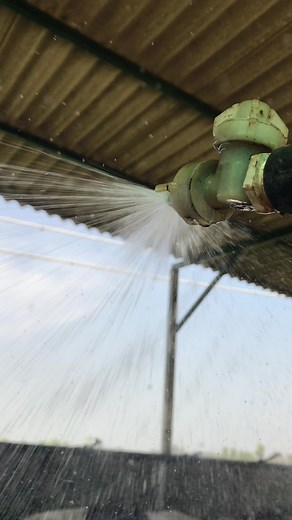 14K views · 169 reactions | Showering | Dr.Muhammad Awais Sidhu | Facebook