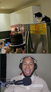 5.9K views · 335 reactions | La carita de este gato  al ver a su madre con el pastel  en su cumpleaños fue pura ternura ❤️. #sigueme #siky #AmorAnimal #CumpleGatuno #MomentosFelices | Siky | Facebook