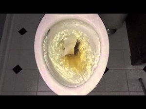 American Standard Optum Vormax Toilet = FAIL (240FPS)
