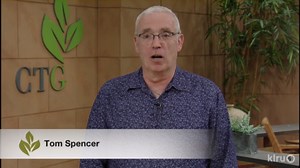 Edible Native Plants