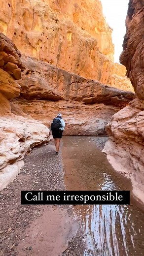 The husband, the boss and the bank account call me irresponsible, unreliable and undependable but no one calls me for a relaxing adventure. All my adventures involve some sort of mishap! It’s my vibe. What’s your ____________? (Don’t call me) While making this reel, I made the mistake of asking the husband what he doesn’t call me for. He had a list: 1. Don’t call me to cook 2. Don’t call me Tana Banana 3. Don’t call me after 8pm 4. Don’t call me for directions 5. Don’t call me for true facts 6. 