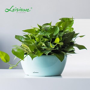 [Hot Item] Wholesale Desktop Flower Pots Factory Directly Supply Garden Sets Large Size Self-Watering Plastic Pots Macetas for Succulents Herbs (HG-3152-7)