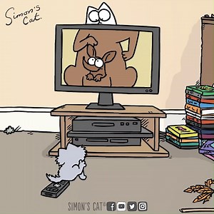 Add a Kitten to the mix...mayhem ensues 🤣 Watch CRAZY KITTEN, our latest film compilation here: https://bit.ly/crazykitten | Simon's Cat