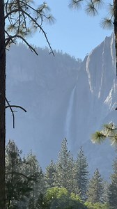 1.8K views · 564 reactions | POV hiking in Yosemite national park #vlog #dad #daily #blogger #vlogger #vlogging #hiking #trails #nationalparks #yosemite | Erlinonthedaily | Facebook