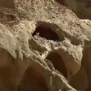 36K views · 672 reactions | Lahfa on Reels | Facebook