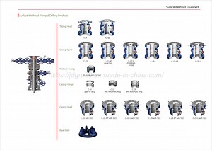 [Hot Item] Casing Head / Tubing Head / Casing Head Spool / Casing Hanger / Casing Seals etc Standard Wellhead Parts
