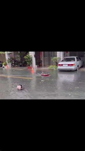 Typhoon day is a great day to play with your remote control toy boat | Foreigners in Taiwan 外國人在台灣