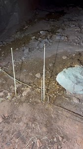 This mine is growing its own timber supports 😂 what on earth is this? | Underground Birmingham