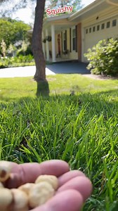 Fill the cheeks Squishy, fill the cheeks | Queen of Peace Parish, Redemptorist - Diocese of Bacolod