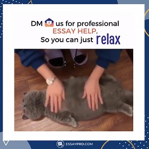 Take 15% off your first order with IGGIV15 🎁 Visit the link in our bio to get started! 😃 | Writing Service - EssayPro.com