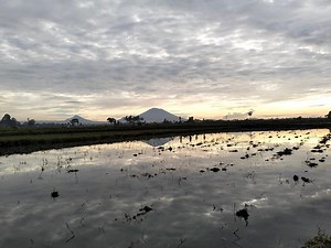 13K views · 19 reactions | Wisata Desa: Dari Desa Untuk Desa Trend...