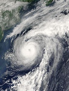 Hurricane Alex (2004) - Alchetron, The Free Social Encyclopedia