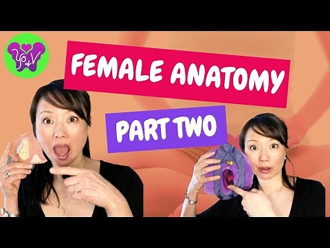 Knowing your 'LADY PARTS'!! - FEMALE ANATOMY PART 2 - WHAT IS NORMAL????