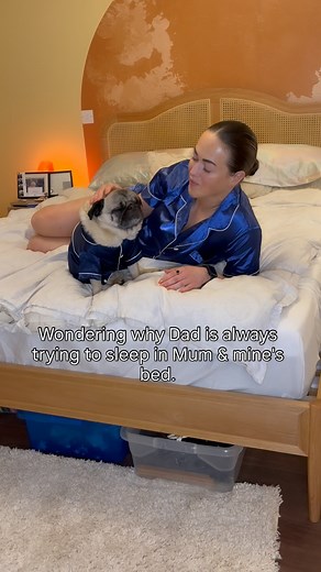 Seriously dude, get your own bed 😂 #pug #pugs #puglife #puglove #pugs #funnydogs #dogmum #dogmom | The Pug Mum