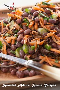 3 Sprouted Adzuki Beans Recipes | January 2026 | Recipe Self