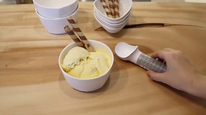 ScoopTHAT! Ice Cream Scoop, White